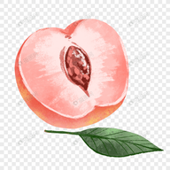 WWW,se305·COM网站APPAPP应用
