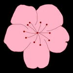 WWW,52se52·COM网站APPAPP应用