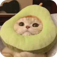 老司机看片APP应用